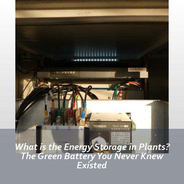 What is the Energy Storage in Plants? The Green Battery You Never Knew Existed
